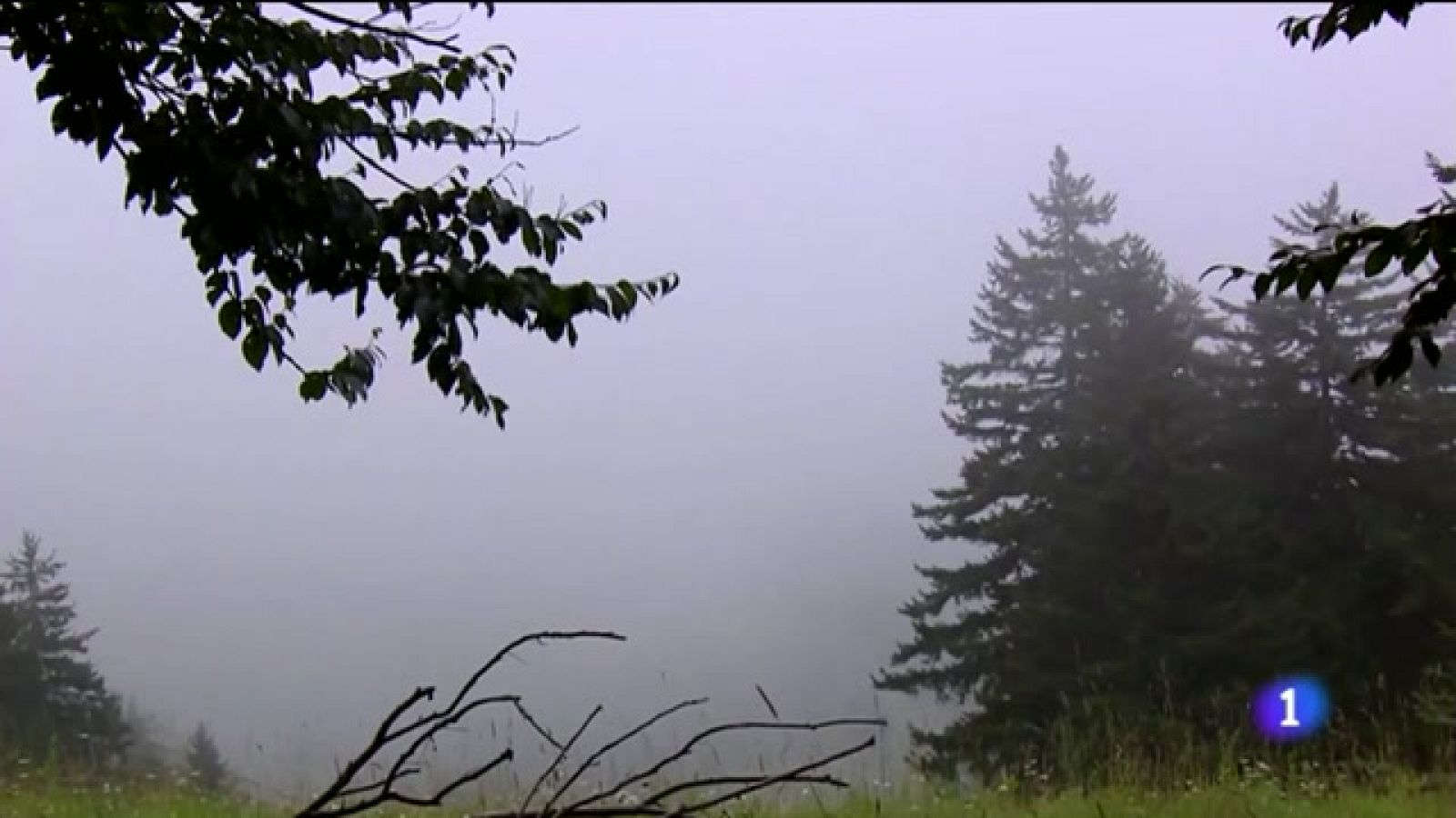 Valero, oro en Mountain Bike - Ver ahora