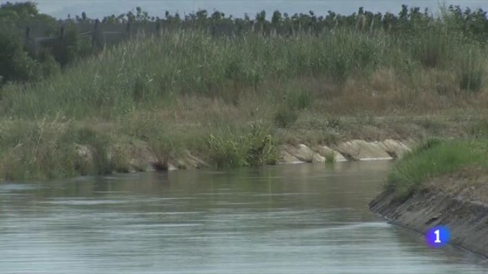 L'Informatiu - L'Informatiu - 03/08/2022