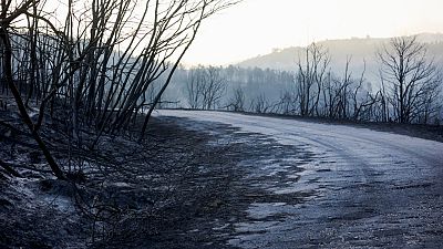 Perimetrado el incendio de Ver�n - Informativo 24h | Ver