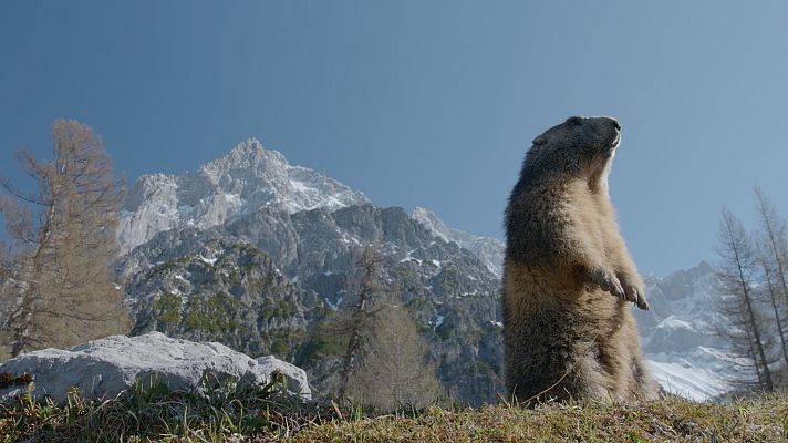 Supervivencia extrema - Mundos de hielo