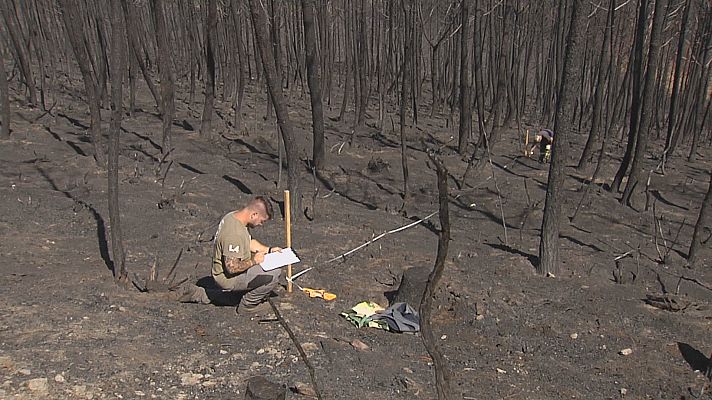 Telexornal - Galicia - O risco de erosión do solo tralos incendios do Courel e Valdeorras é moderado