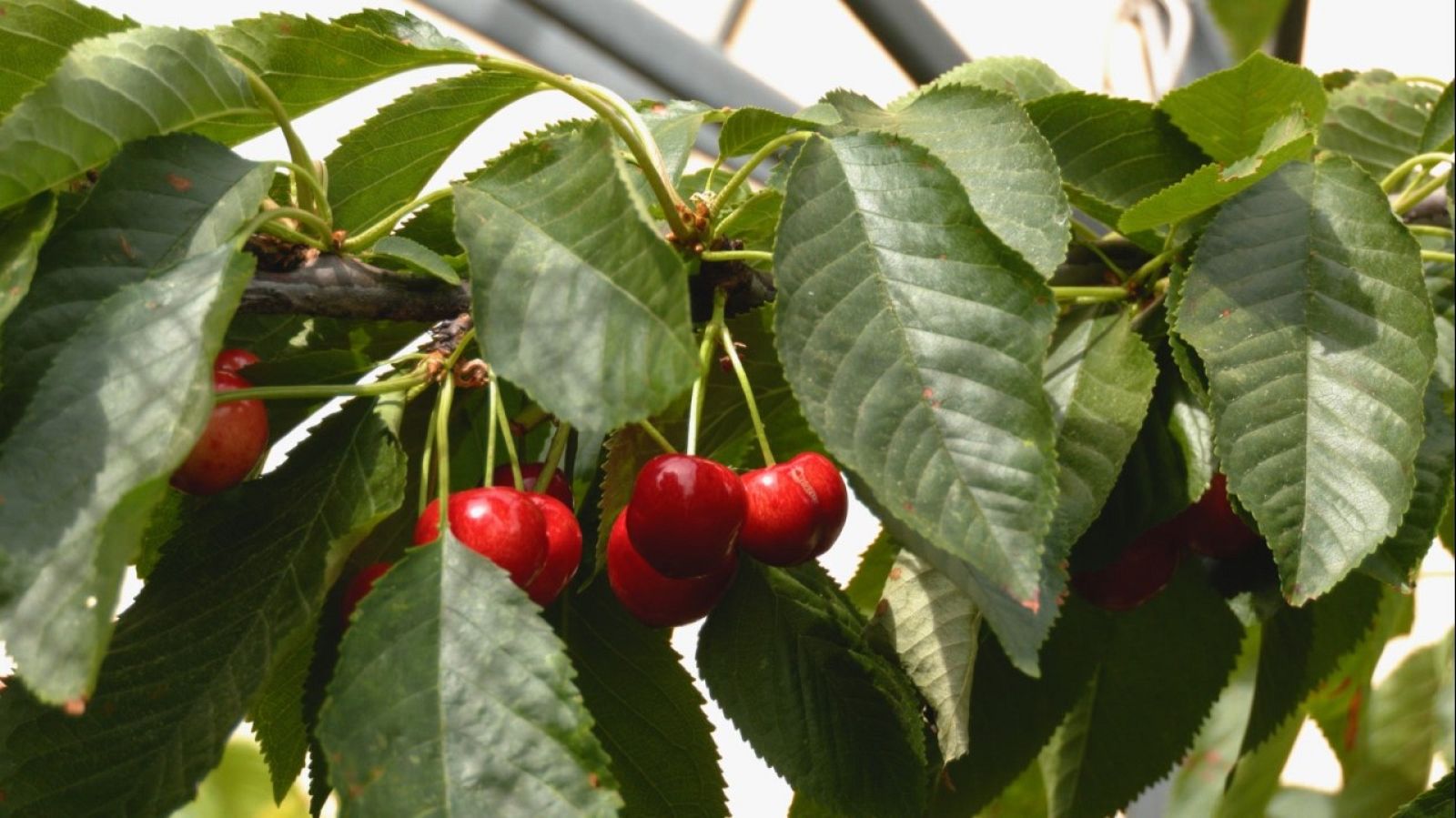 Aquí la Tierra - 05/08/22 - ver ahora
