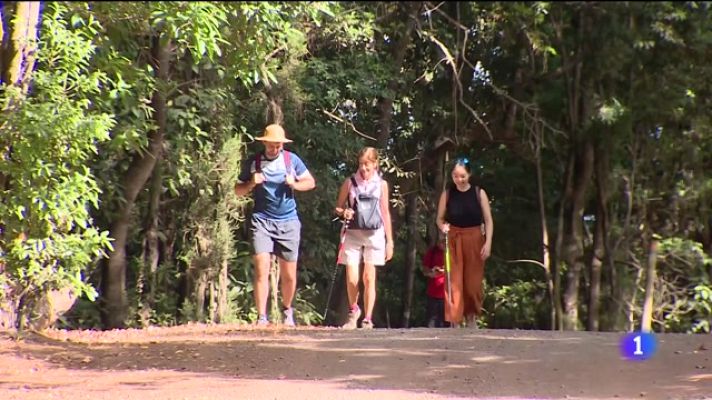 Telecanarias - Telecanarias - 06/08/2022