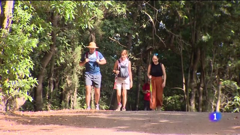 Telecanarias - 06/08/2022