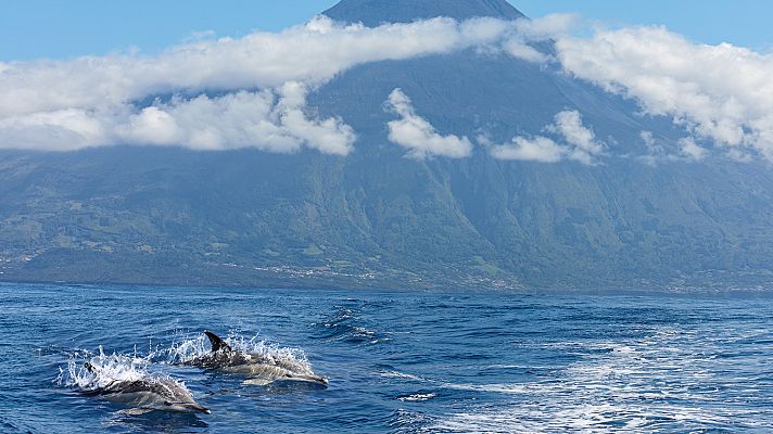 Planeta azul - Litorales marinos