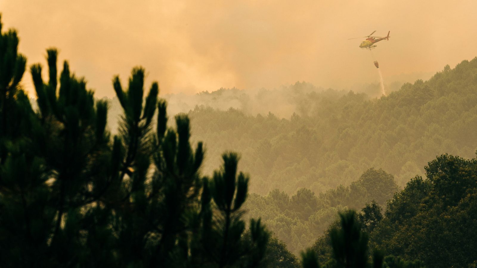 Telediario Internacional - 07/08/22 - ver ahora