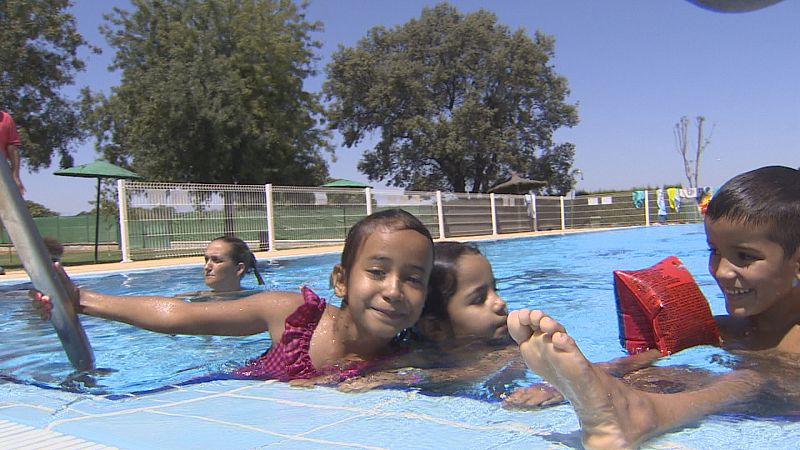 Vacaciones en Paz - Ver ahora