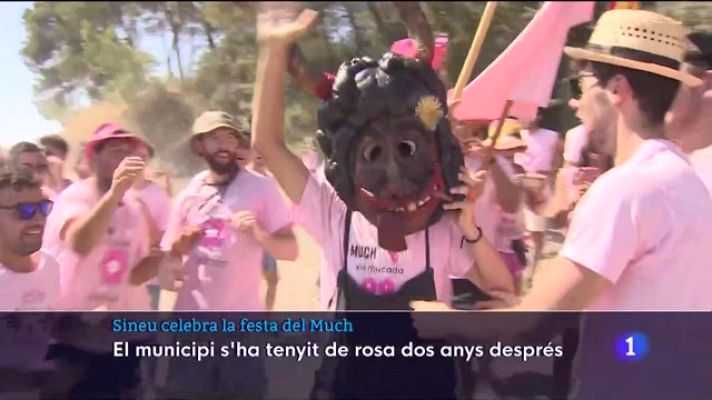 Informatiu Balear - Sineu s'ha tornat a tenyir de rosa dos anys després