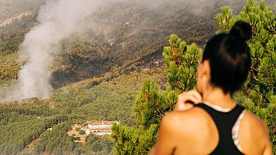 El fuego avanza sin control en �vila | Ver