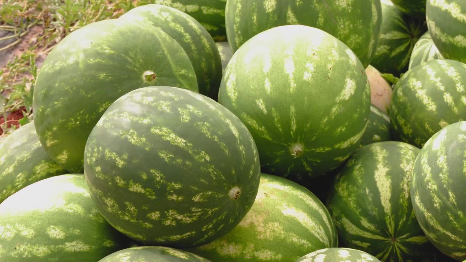 Aquí la Tierra - 08/08/22 - ver ahora