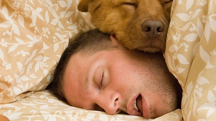 La hora de La 1 - Un estudio revela un dato alarmante sobre la siesta