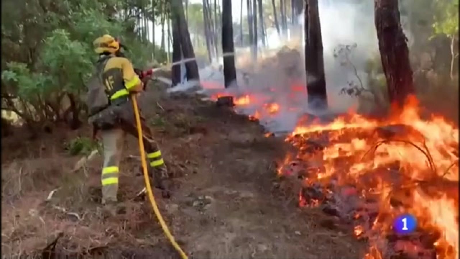 Castilla y León en 1' - 09/08/22