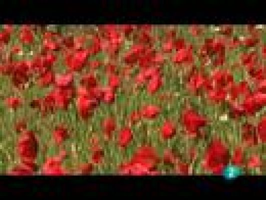  - Sierra de Guara, donde nacen las aventuras