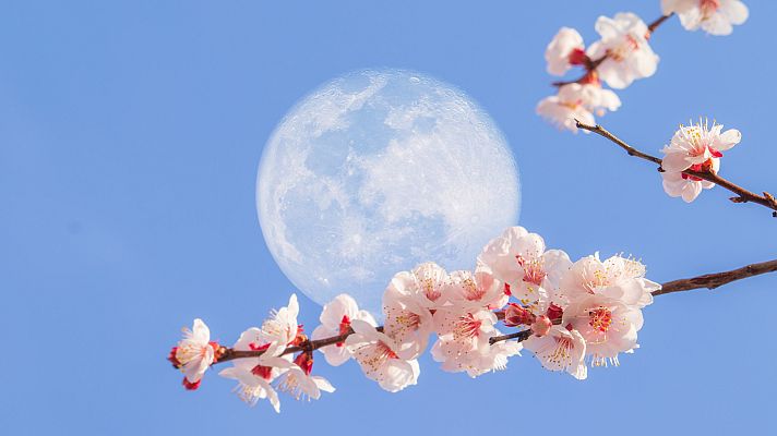 Mapi - Mapi: ¿Por qué a veces se ve la Luna de día?
