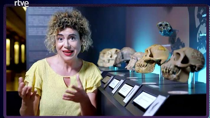 Mapi - ¿Por qué se nos ponen los pelos de punta?