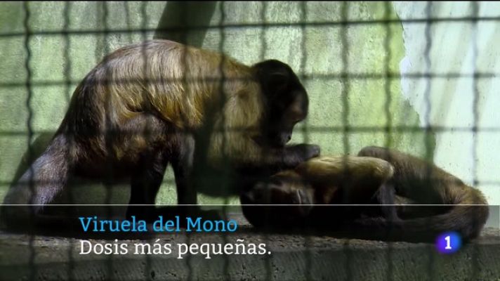 Telecanarias - Canarias en 2' - 11/08/2022