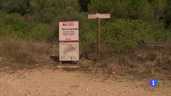 L'Informatiu - L'Informatiu - 12/08/2022