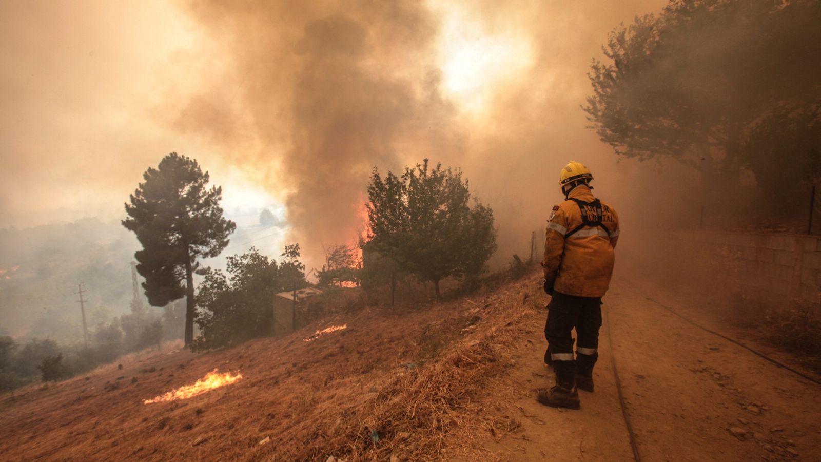 Incendio devastador en Portugal- RTVE.es | Ver