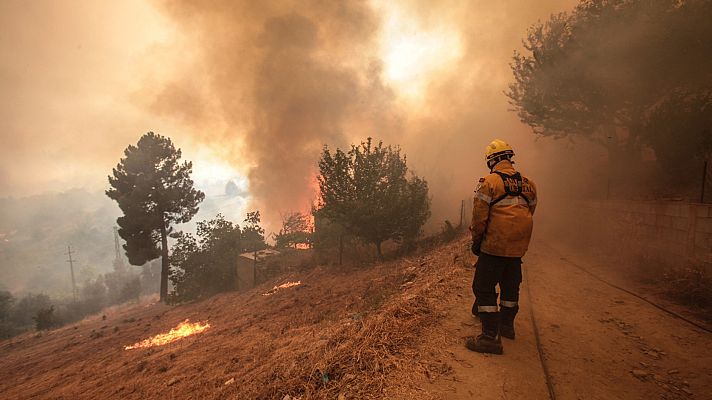 Telediario 2 - Incendio devastador en Portugal: más de 16.000 hectáreas calcinadas, muchas protegidas