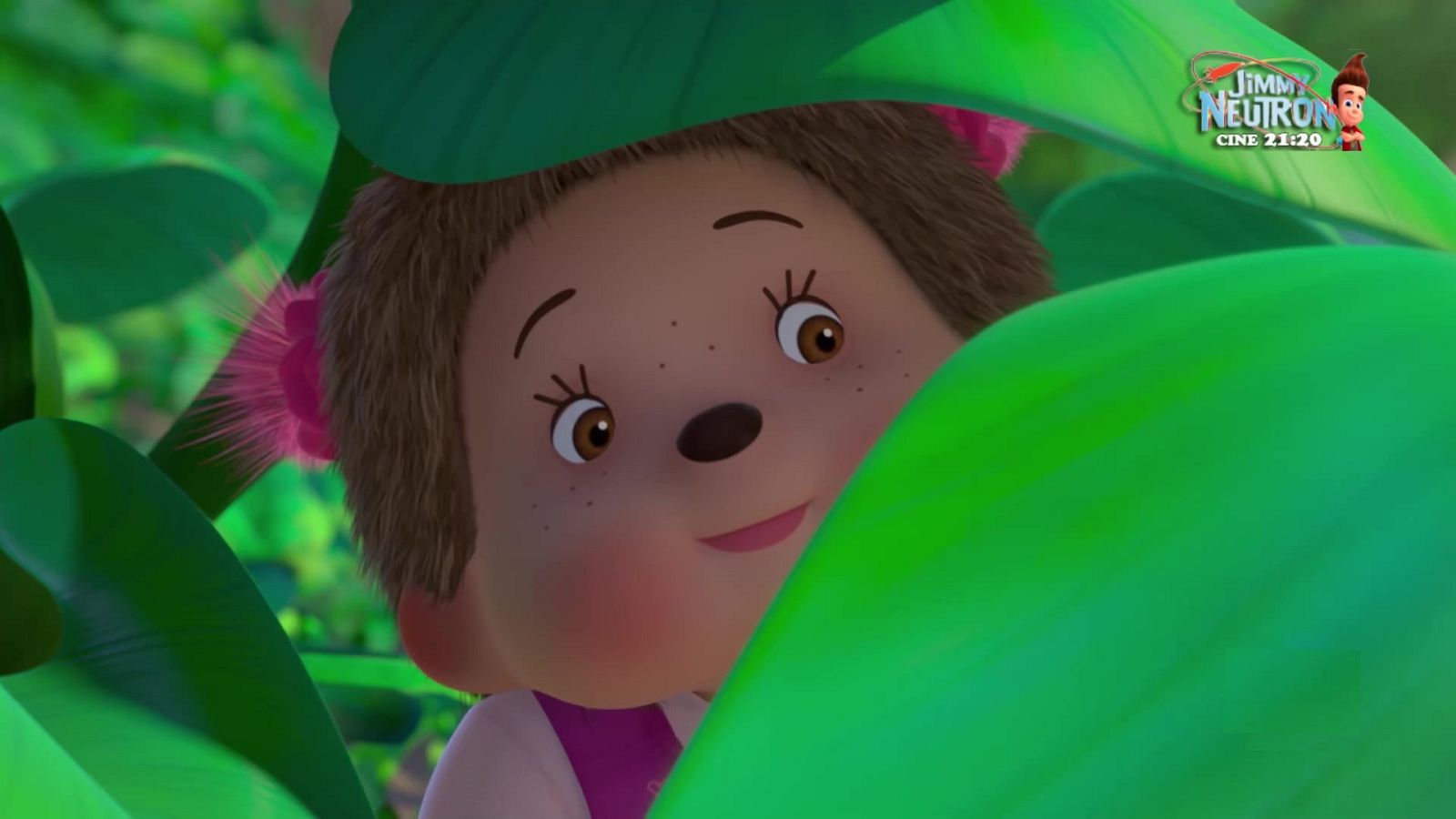 Ramita ha desaparecido - La tribu Monchhichi | Ver