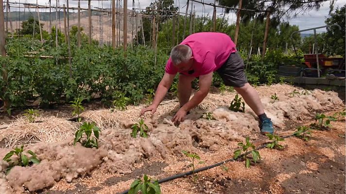 Aquí la Tierra - Aquí la Tierra - 12/08/22