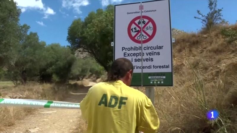 Els Agents Rurals cacen desenes de despistats i incomplidors