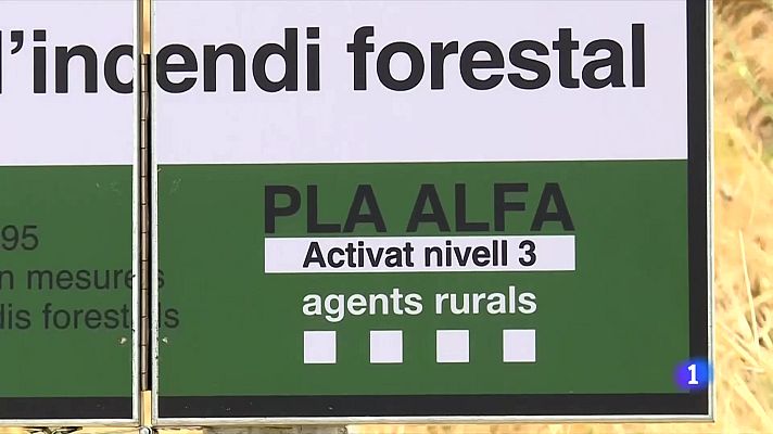 L'Informatiu - L'Informatiu - 13/08/2022