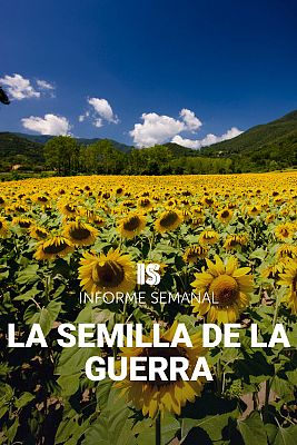 Informe Semanal - La semilla de la guerra