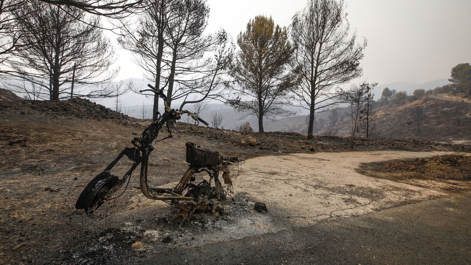 Telediario - 15 horas - 14/08/22 - ver ahora