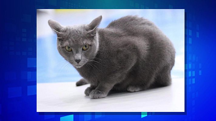 Saber y ganar - Saber y ganar. Edición de fin de semana - 14/08/22