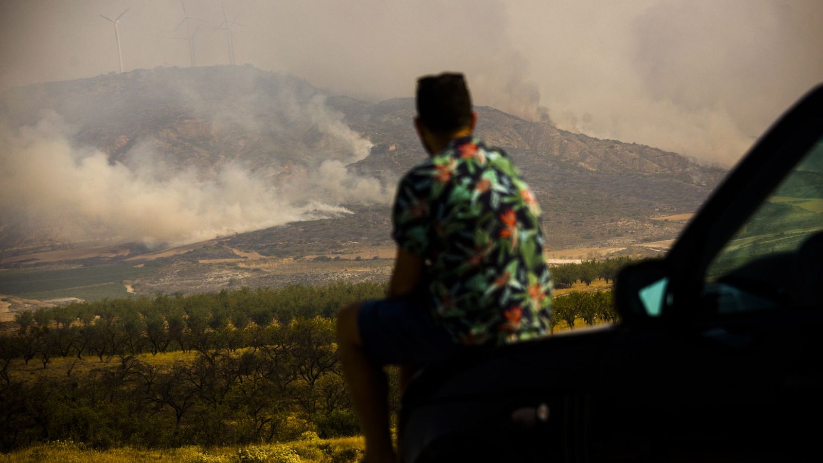 Noticias 24 horas - 20h - 14/08/22 - ver ahora