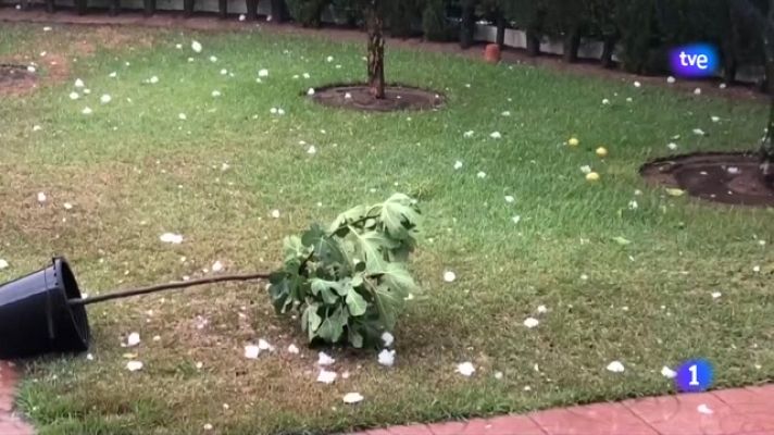 L'Informatiu - L'Informatiu - 16/08/2022