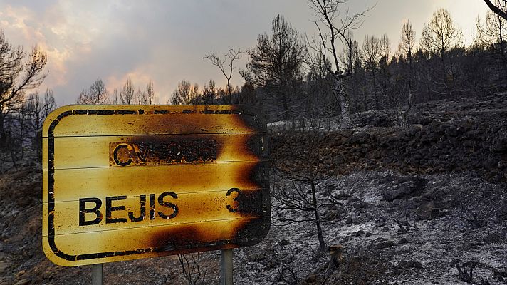Telediario en lengua de signos - Telediario - 21 horas - 17/08/22 - Lengua de signos