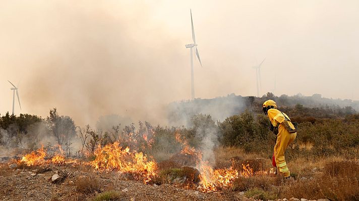 Informativo 24h - La lluvia reduce la llama en el incendio de Bejís hasta casi desaparecer