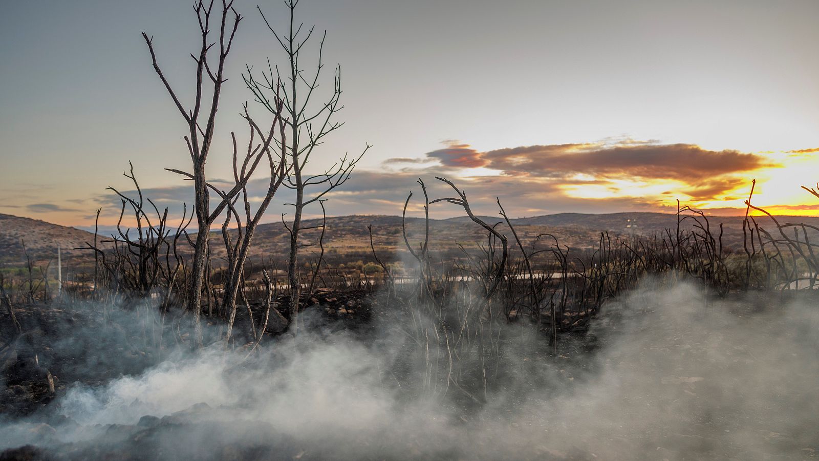 Telediario 1 en cuatro minutos - 18/08/22 - Ver ahora