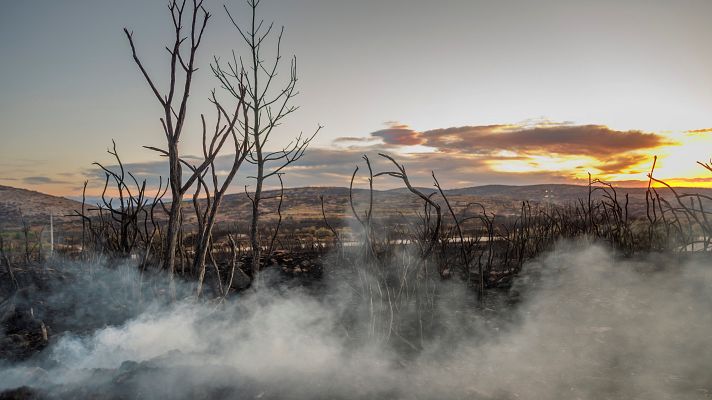 Telediario 1 - Telediario 1 en 4' - 18/08/22