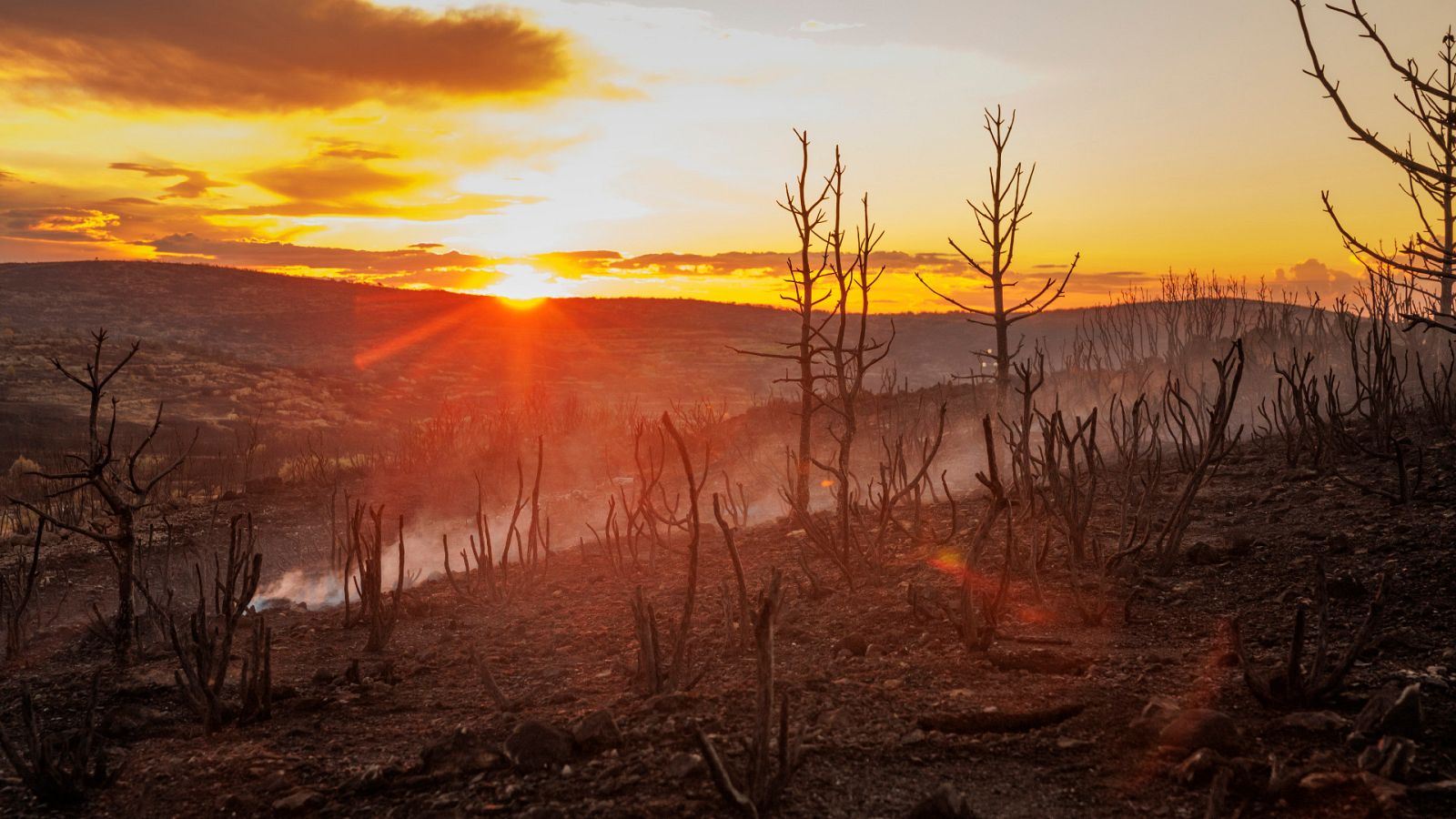 Una noche en el puesto de mando del incendio de Bejís: del fuerte viento que complicaba la extinción al 'regalo' de la lluvia