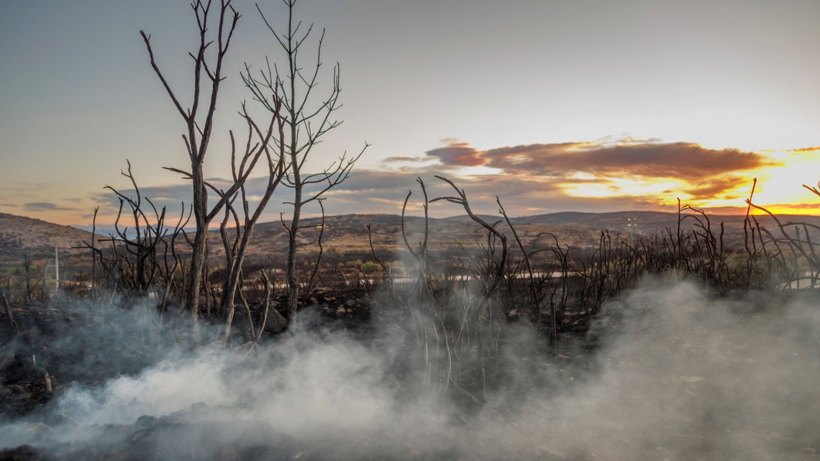 Telediario - 15 horas - 18/08/22 - Lengua de signos - ver ahora