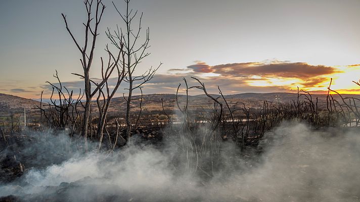 Telediario en lengua de signos - Telediario - 15 horas - 18/08/22 - Lengua de signos