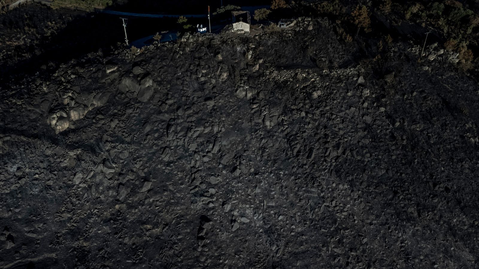 Regeneración: las claves para ayudar a la naturaleza a recuperar lo quemado