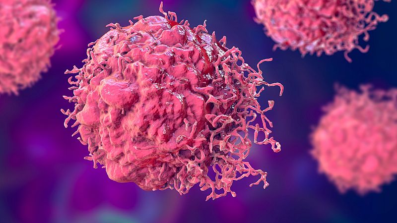 Casi la mitad de las muertes por cáncer están provocadas por factores de riesgo que se pueden prevenir