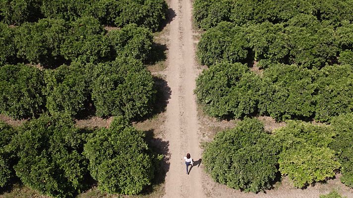 Vuelvo a empezar - Ses Salines, Cubillo del Butrón y Los Rosales