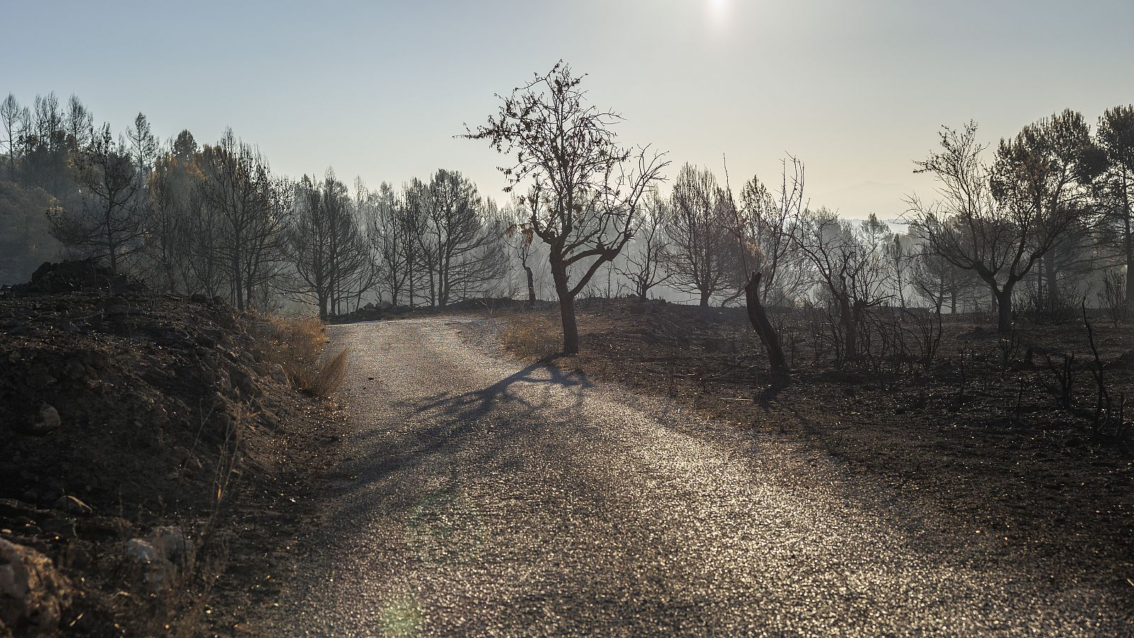 Telediario 1 en cuatro minutos - 20/08/22 - Ver ahora