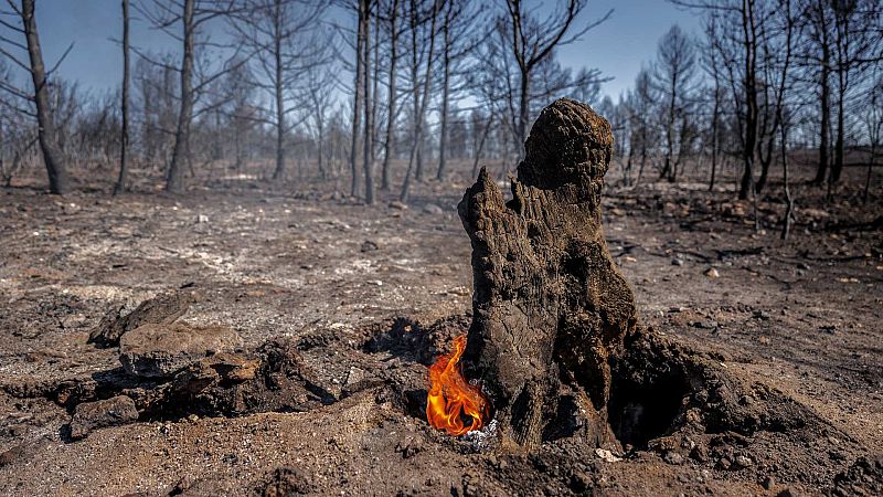 Los expertos aconsejan cómo subir a las redes información útil de los incendios