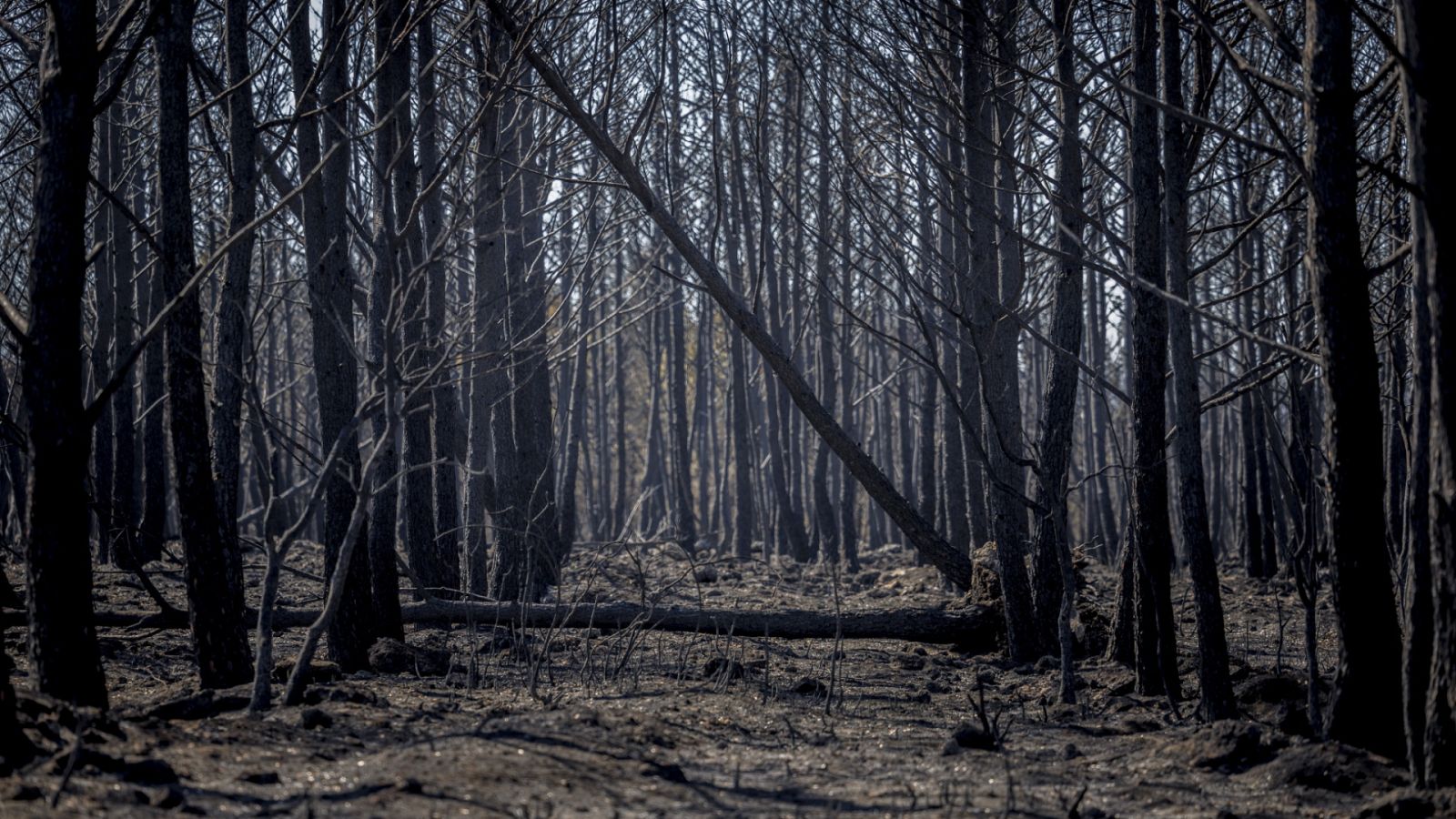 Telediario - 15 horas - 21/08/22 - Lengua de signos - ver ahora