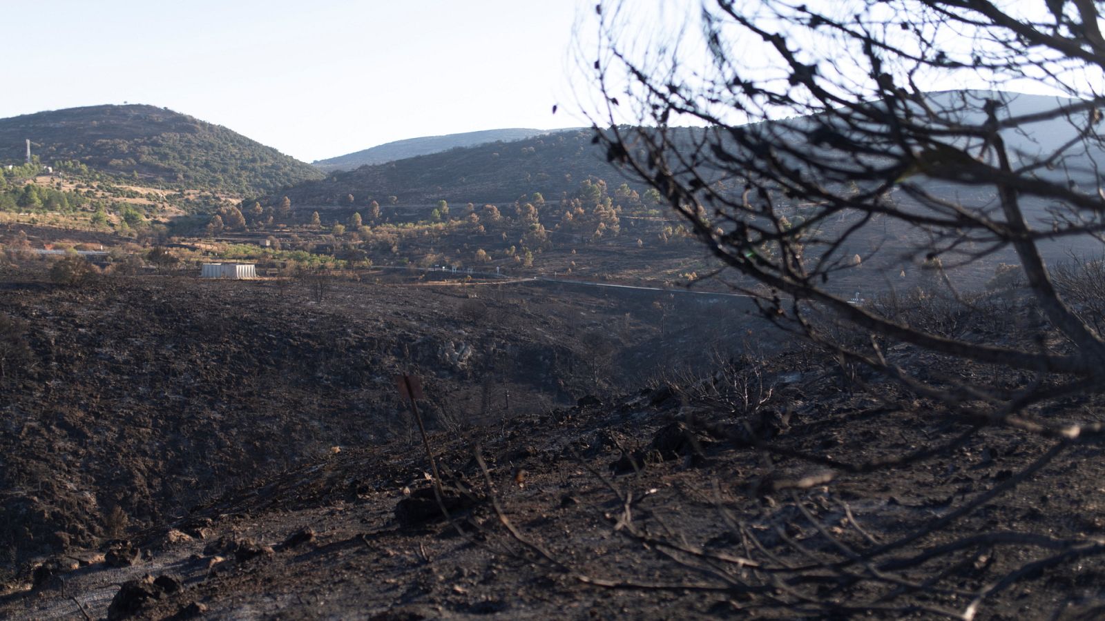 Telediario - 21 horas - 21/08/22 - ver ahora