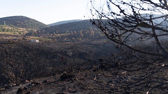 Telediario en lengua de signos - Telediario - 21 horas - 21/08/22 - Lengua de signos