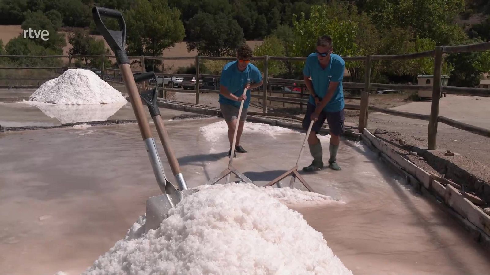 Aquí la Tierra - 22/08/22 - ver ahora