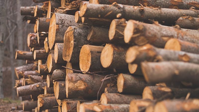 Aumenta un 30% la venta de leña de cara al invierno