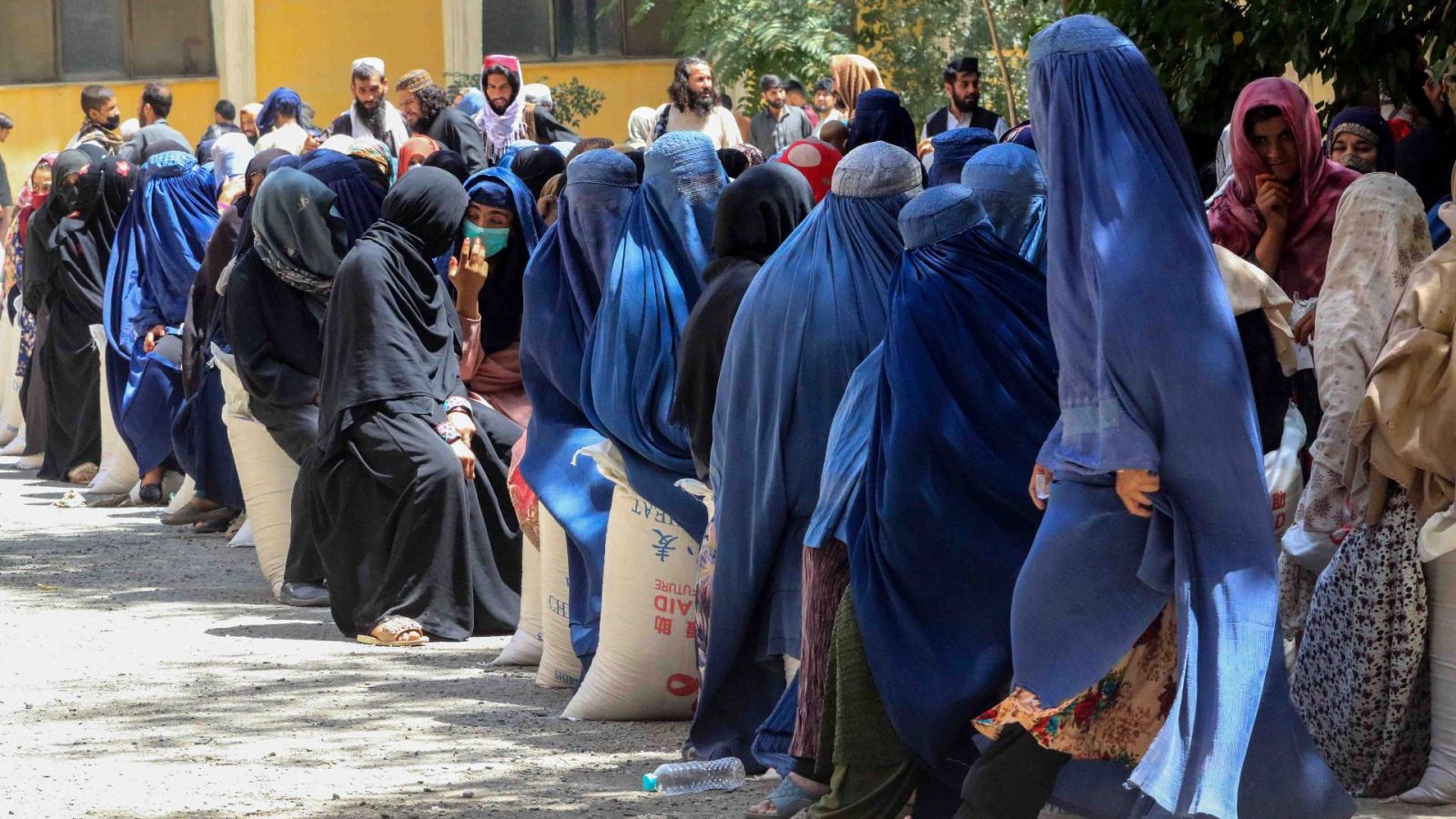 Adolescentes no pueden estudiar en Afganistán por ser chicas | Ver